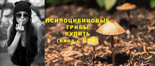 скорость mdpv Белокуриха