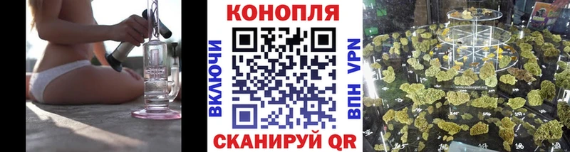 сколько стоит  Нелидово  Канабис сатива 